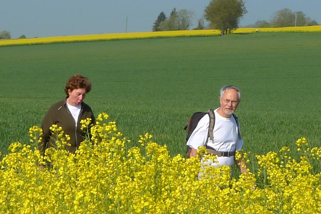 La Petite Varenne Turny Buitenkant foto